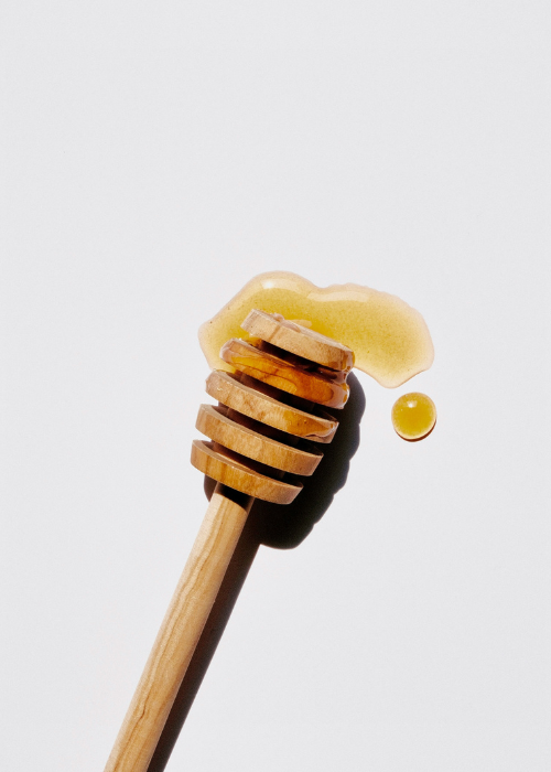 The Good Steward – honey on white